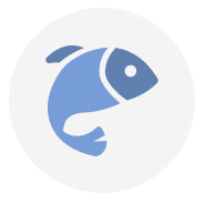 Seafood